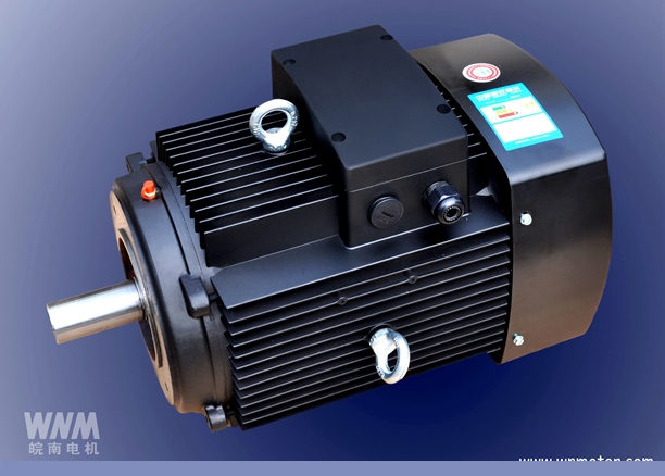 皖南电机成功研发立式多级泵专用电机